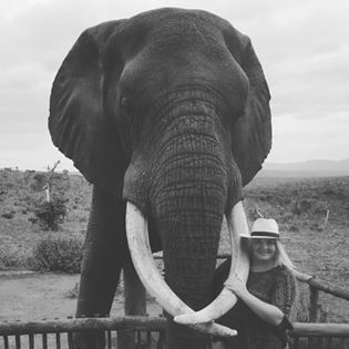 Bayete Zulu Elephant Interactions